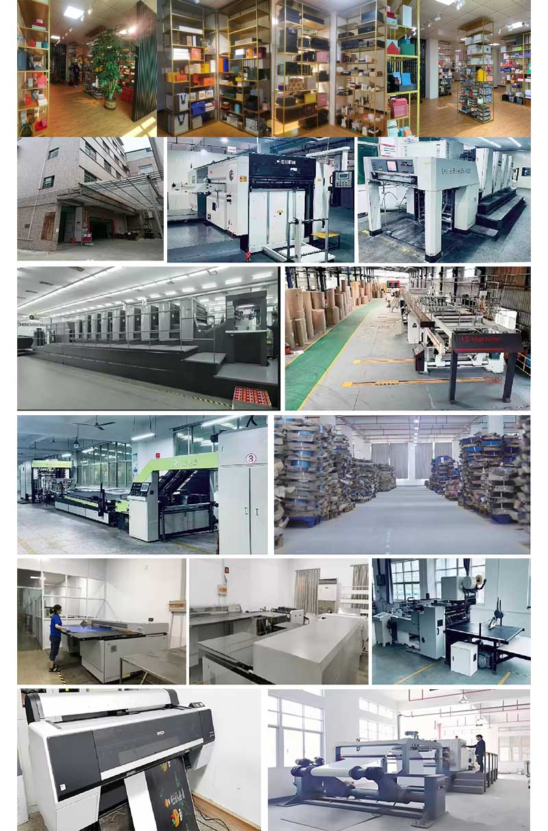 PE Poly Mailers